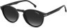 Carrera 301/S 80750Q3