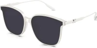 Molsion MS 3056 C95