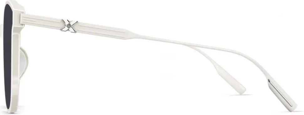 Сонцезахисні окуляри Molsion MS 3056 C95