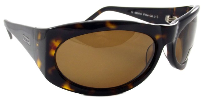 6656C Polaroid-4_enly1.jpg