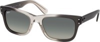 Ray-Ban RB2283 134071 55