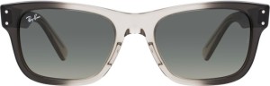 Ray-Ban RB2283 134071 55