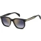 David Beckham DB 7133/S 807521V