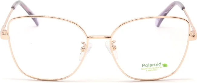 Оправа Polaroid PLD D521/G DDB5516