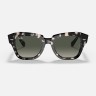 Солнцезащитные очки Ray-Ban RB2186 133371 52 Ray-Ban
