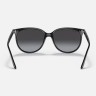 Солнцезащитные очки Ray-Ban RB4378 601/8G 54 Ray-Ban