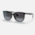 Солнцезащитные очки Ray-Ban RB4378 601/8G 54 Ray-Ban