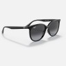 Солнцезащитные очки Ray-Ban RB4378 601/8G 54 Ray-Ban