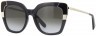 Salvatore Ferragamo SF 889S 057