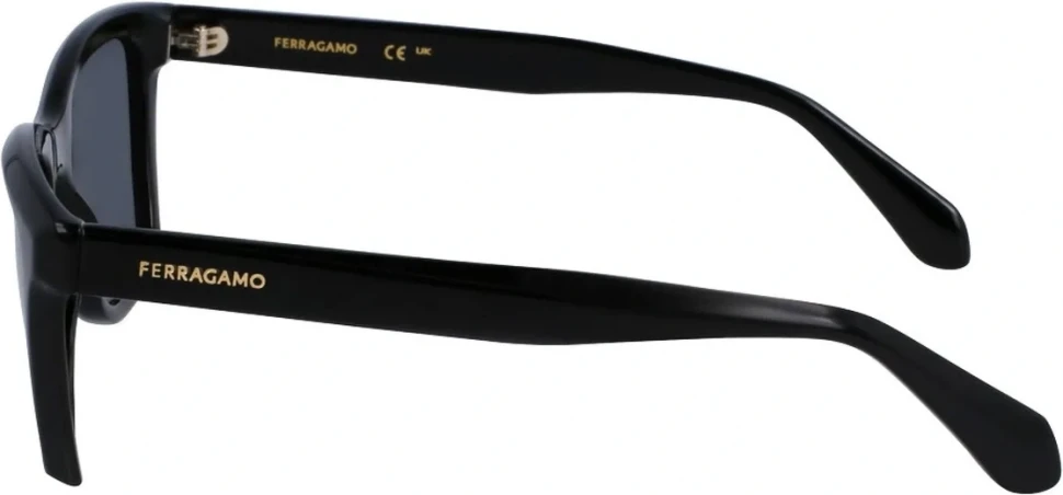 Сонцезахисні окуляри Salvatore Ferragamo SF 2001S 001