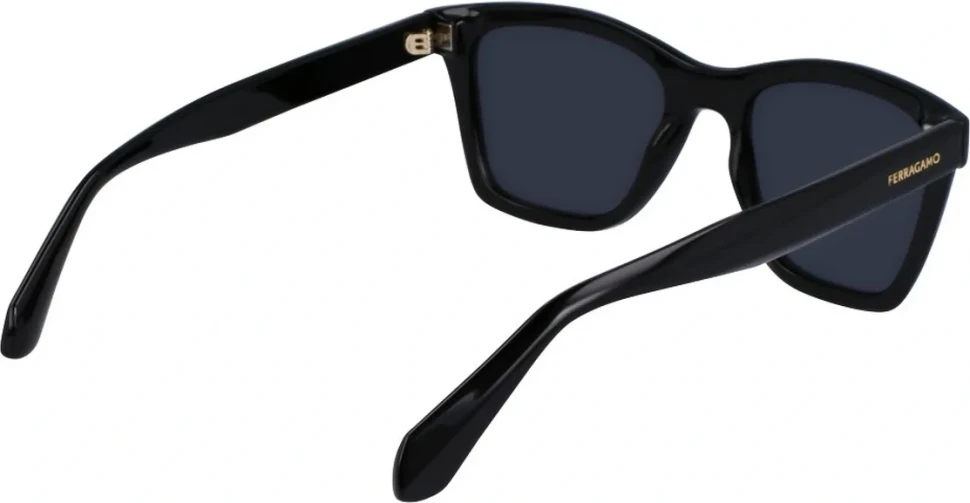 Сонцезахисні окуляри Salvatore Ferragamo SF 2001S 001