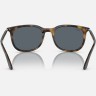 Солнцезащитные очки Ray-Ban RB4386 710/R5 54 Ray-Ban Солнцезащитные очки Ray-Ban RB4386 710/R5 54 Ray-Ban