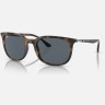 Солнцезащитные очки Ray-Ban RB4386 710/R5 54 Ray-Ban Солнцезащитные очки Ray-Ban RB4386 710/R5 54 Ray-Ban