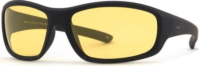 Сонцезахисні окуляри INVU A2501L