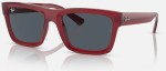 Ray-Ban RB4396 667987 54