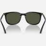 Солнцезащитные очки Ray-Ban RB4386 601/31 54 Ray-Ban Солнцезащитные очки Ray-Ban RB4386 601/31 54 Ray-Ban