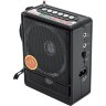 Радиоприемник с USB NNS NS-018U