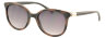 Dackor 310 Demi