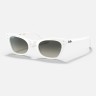 Солнцезащитные очки Ray-Ban RJ9099S 116/11 45 Ray-Ban Солнцезащитные очки Ray-Ban RJ9099S 116/11 45 Ray-Ban