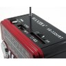 Радиоприемник с USB XB-332URT