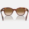Солнцезащитные очки Ray-Ban RB0880S 954/51 52 Ray-Ban Солнцезащитные очки Ray-Ban RB0880S 954/51 52 Ray-Ban
