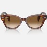 Солнцезащитные очки Ray-Ban RB0880S 954/51 52 Ray-Ban Солнцезащитные очки Ray-Ban RB0880S 954/51 52 Ray-Ban