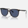 Солнцезащитные очки Ray-Ban RB4378 710/80 54 Ray-Ban