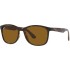 Солнцезащитные очки Ray-Ban RB4374 710/33 56 Ray-Ban