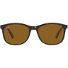 Солнцезащитные очки Ray-Ban RB4374 710/33 56 Ray-Ban