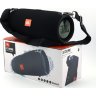 Портативная колонка Bluetooth JBL MINI XTREME (X79)