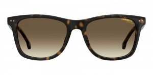 Carrera 2022T/S 08651HA