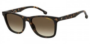 Carrera 2022T/S 08651HA