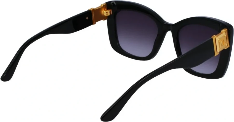 Сонцезахисні окуляри Karl Lagerfeld KL 6139S 001