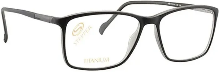 Оправа Stepper SI-20080 F200