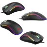 mouse HAVIT HV-MS300 GAMING USB, gray