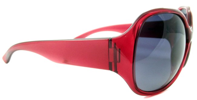 P8005C Polaroid-4_enlfn.jpg