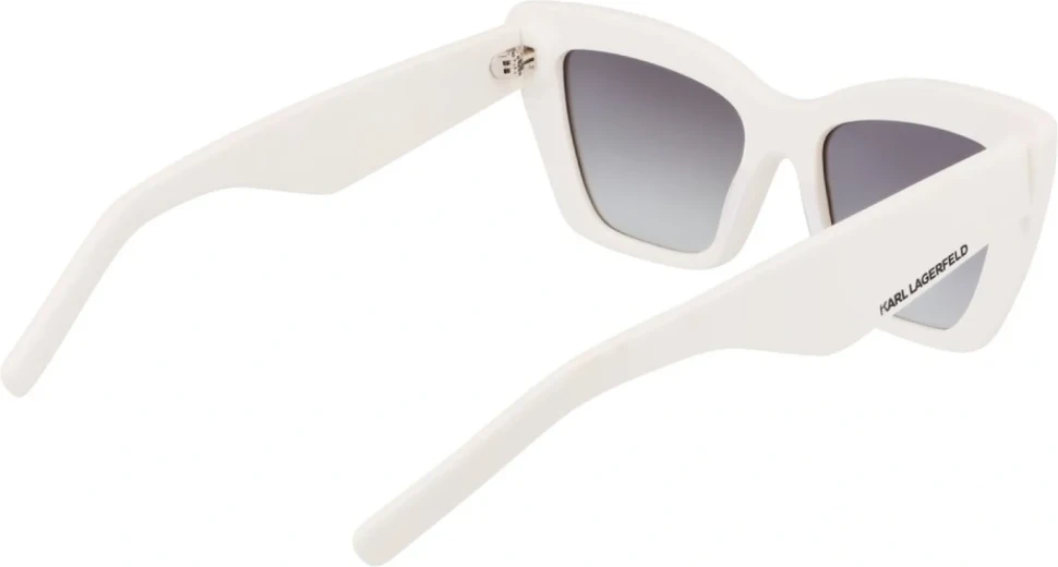 Сонцезахисні окуляри Karl Lagerfeld KL 6158S 105