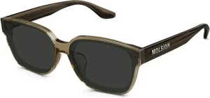 Molsion MS 3085 A20