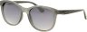 Dackor 343 Black