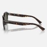 Солнцезащитные очки Ray-Ban RB4398 902/31 53 Ray-Ban
